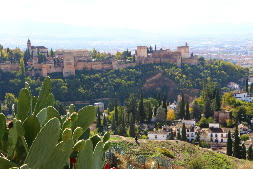 GT_Grenade_vuesurAlhambra