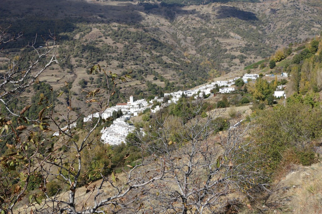 GT_Grenade_Alpujarras
