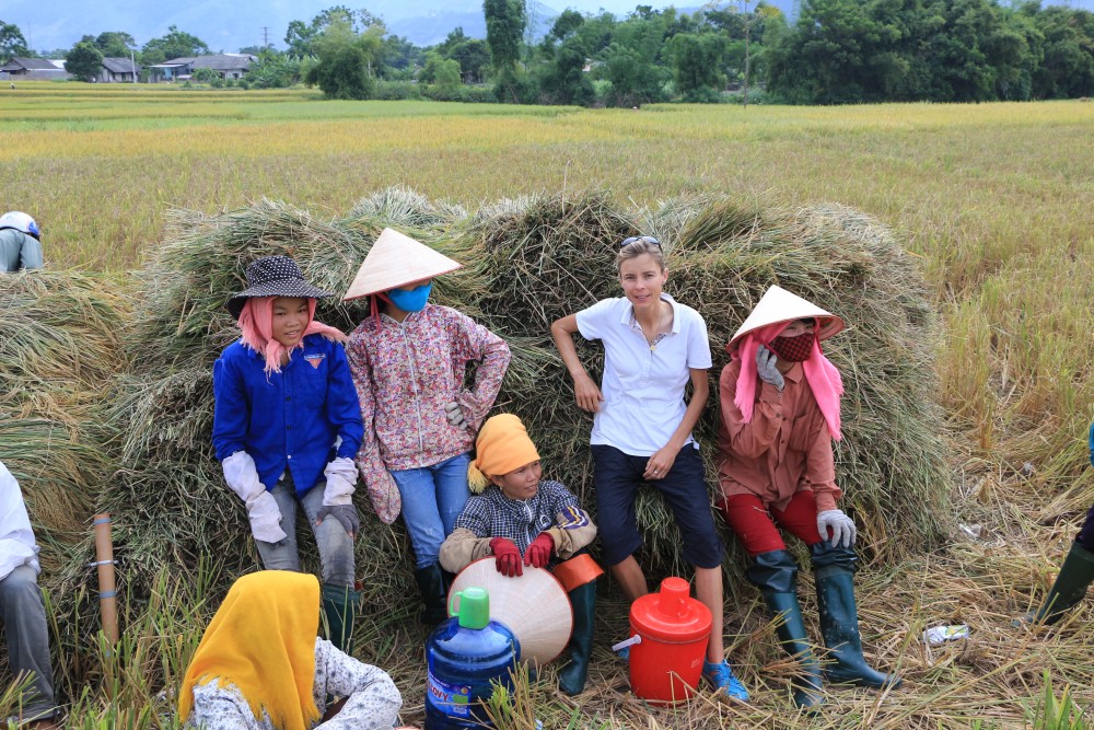 voyage au vietnam recolte riz