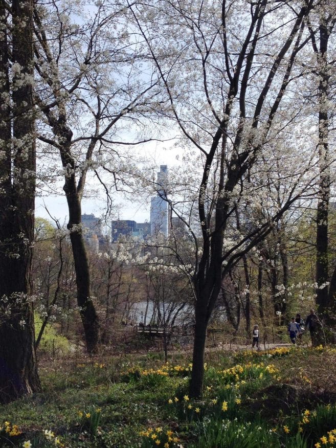 new-york central park