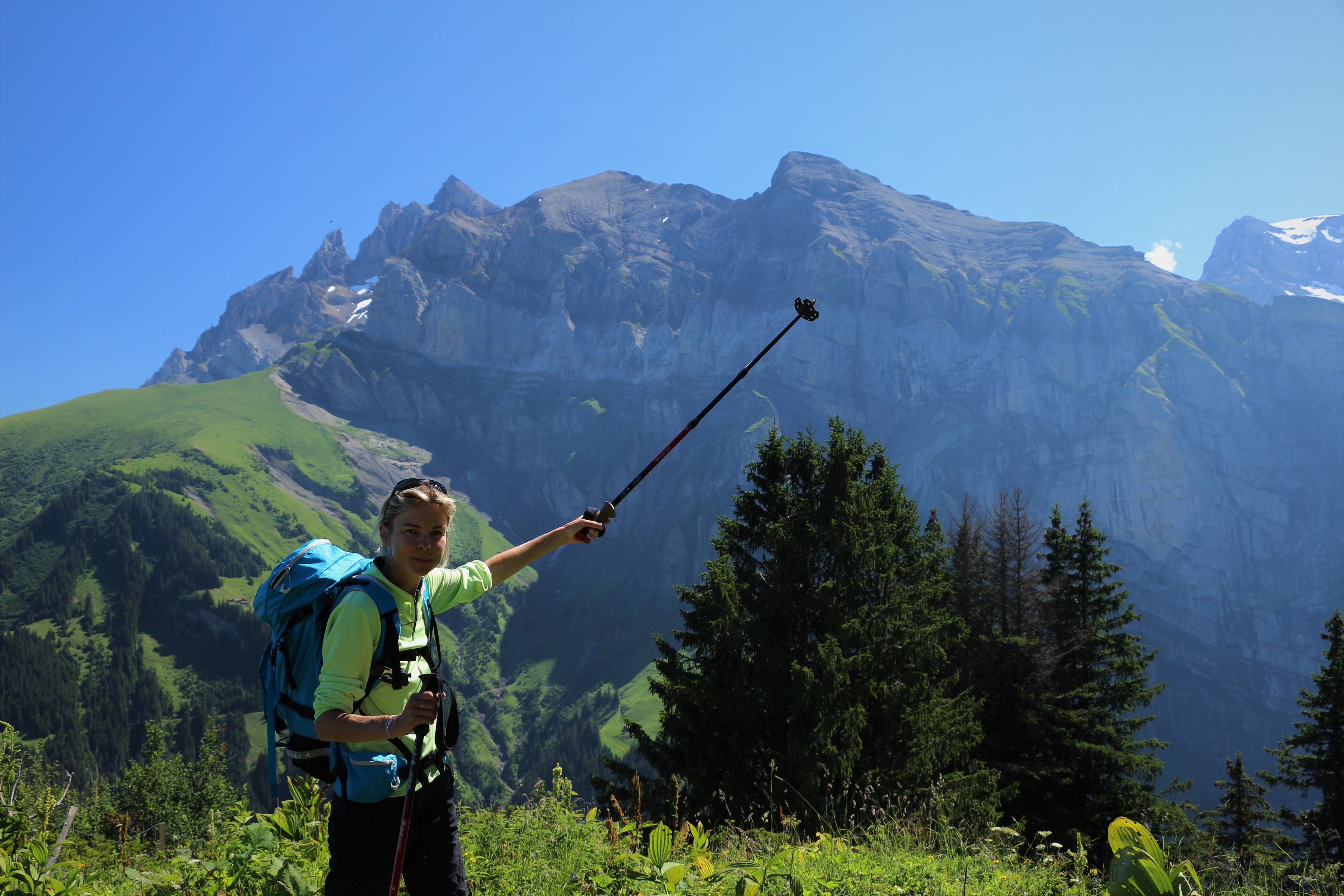 Dents du Midi cimes