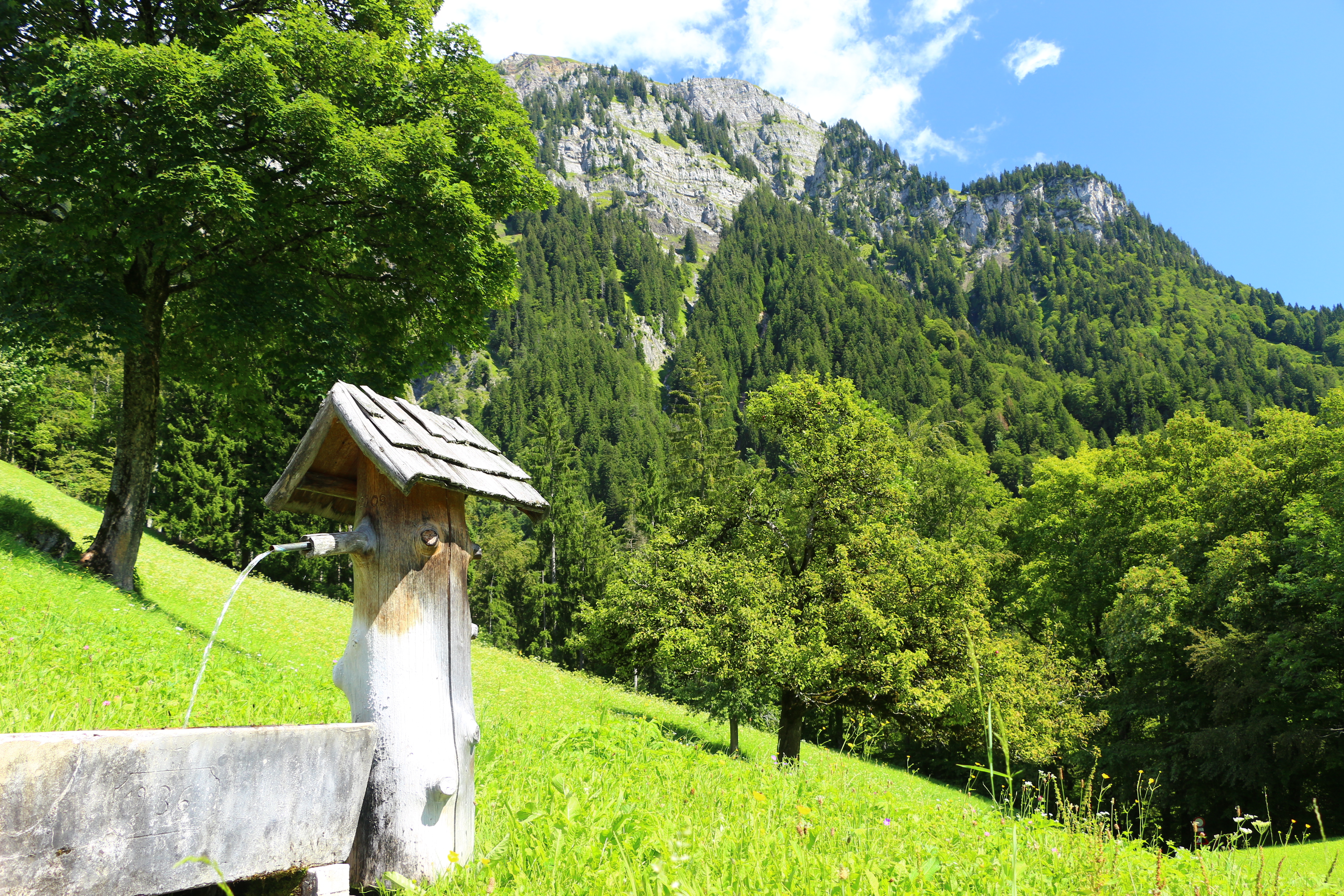 fontaine vorarlberg