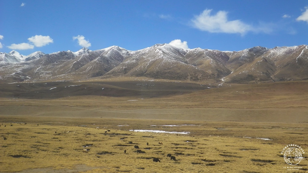 tibet train lhassa