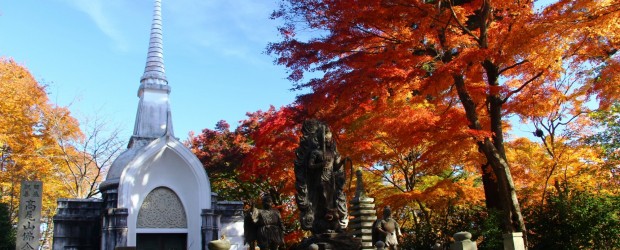 Mont TAKAO : 3 raisons de randonner sur une montagne sacrée du Japon