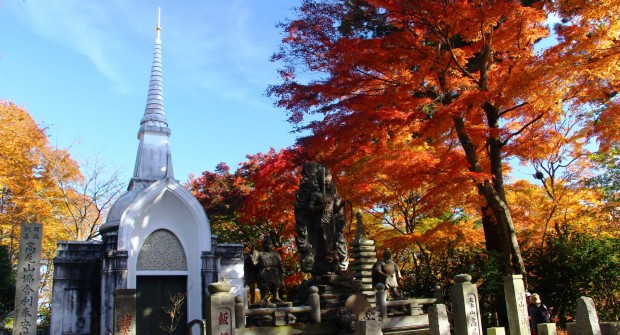 Mont TAKAO : 3 raisons de randonner sur une montagne sacrée du Japon