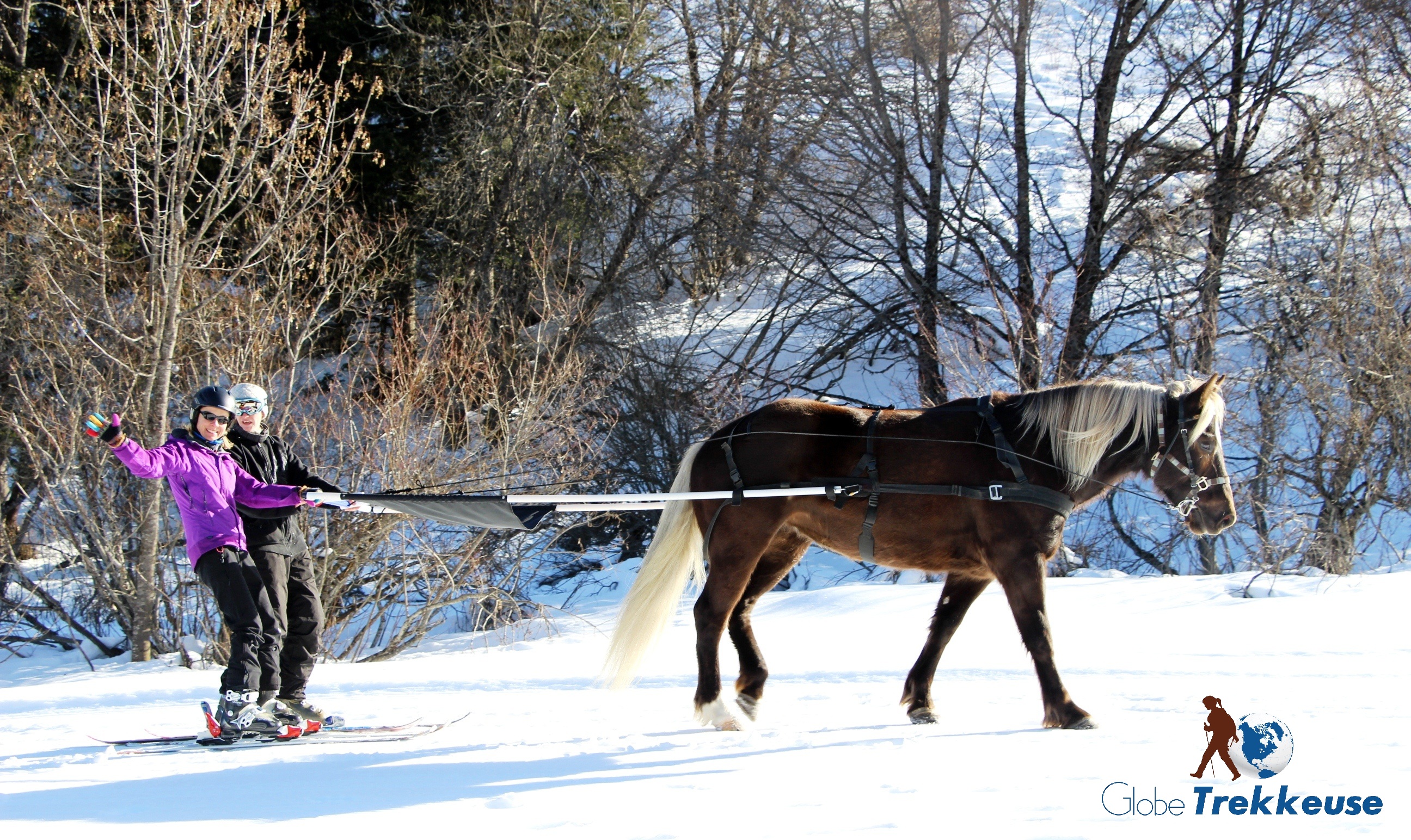 coeur equestre meribel skijoering decouverte