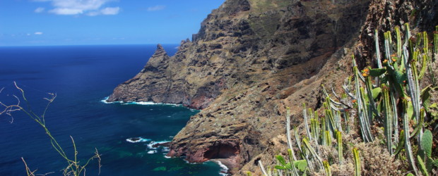 Randonnée à Tenerife : patchwork naturel sur la plus grande île des Canaries