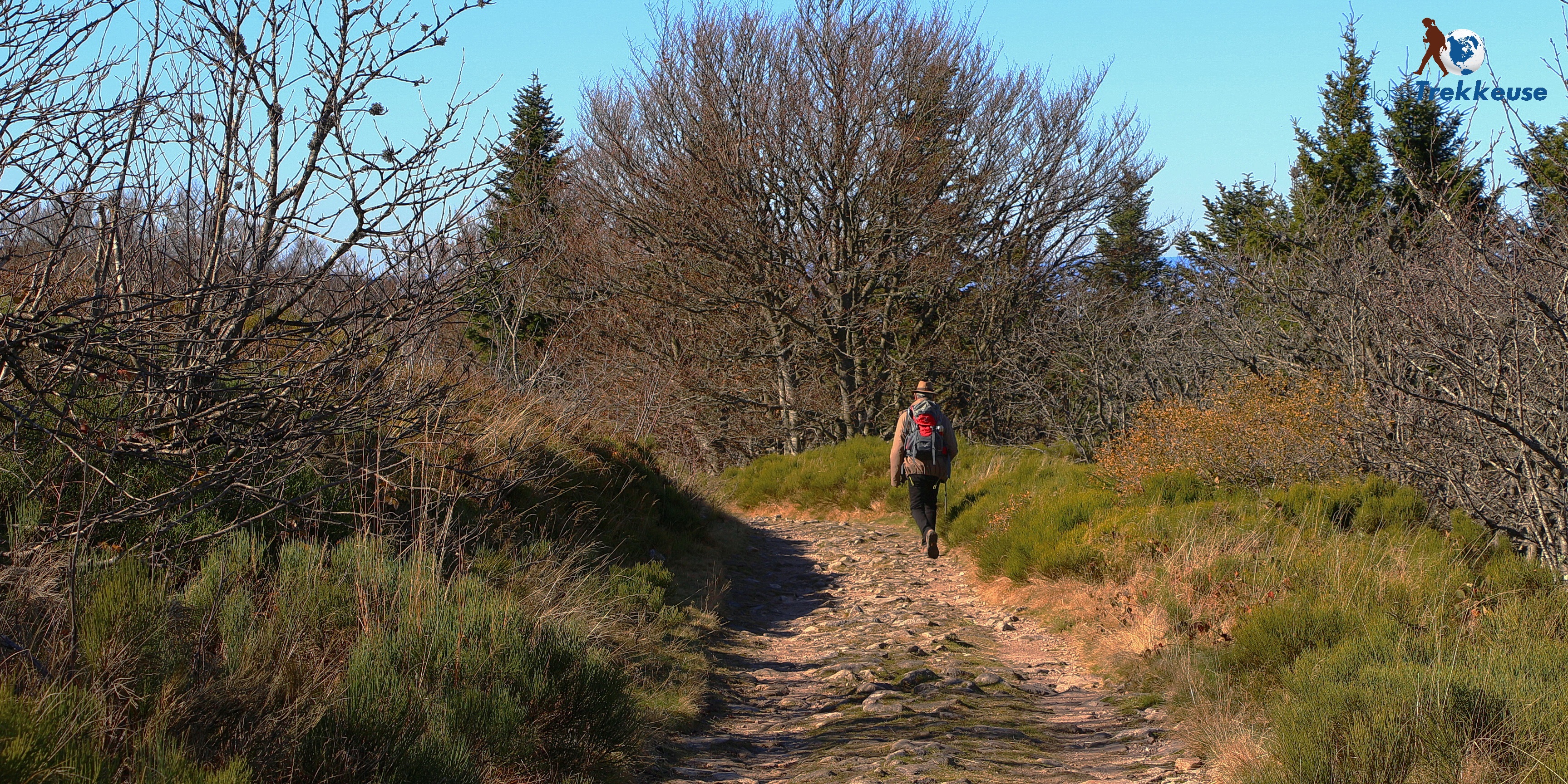 randonnée autour de lyon pilat foret