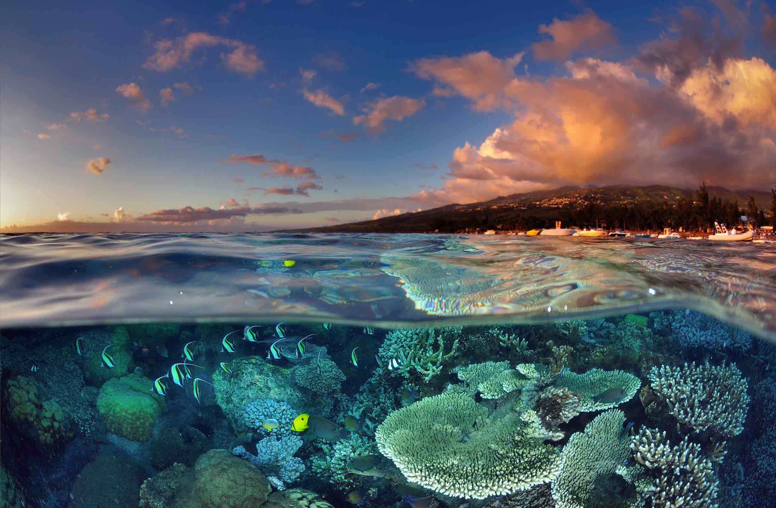 Île de La Réunion, 10 raisons de visiter le joyau de l'océan indien -