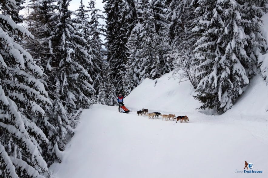 la grande odyssee attelage