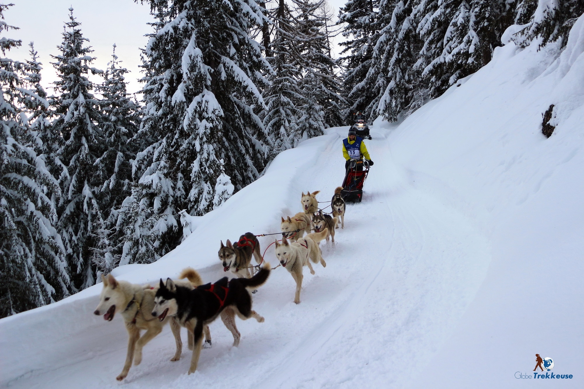 En Images. Retour de la neige et chiens de traîneaux, retrouvez les plus  belles photos de la Grande Odyssée