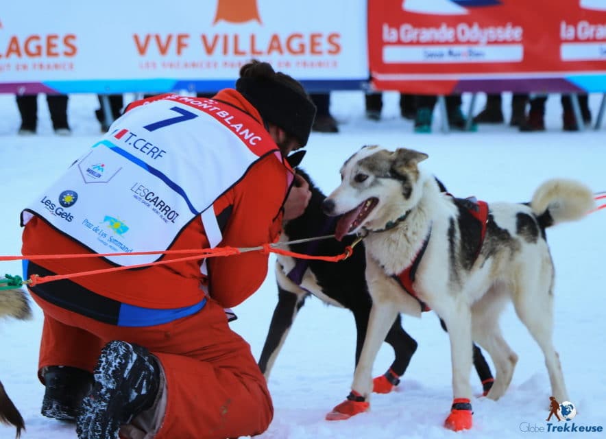 la grande odyssee chien musher cerf