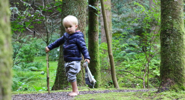 Luxeuil-les-Bains : activités nature avec enfants aux portes des Vosges