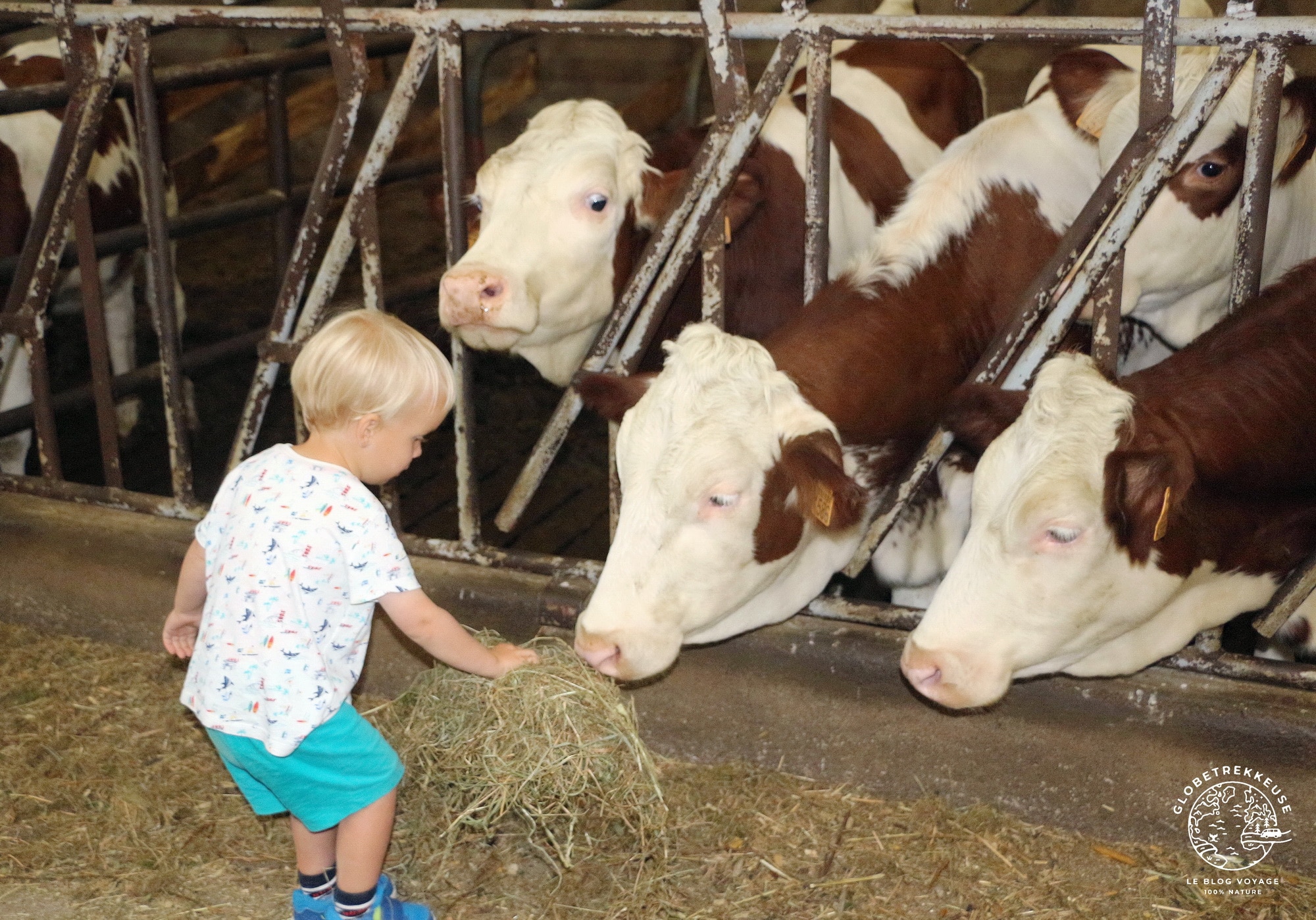 luxeuil-les-bains famille ferme