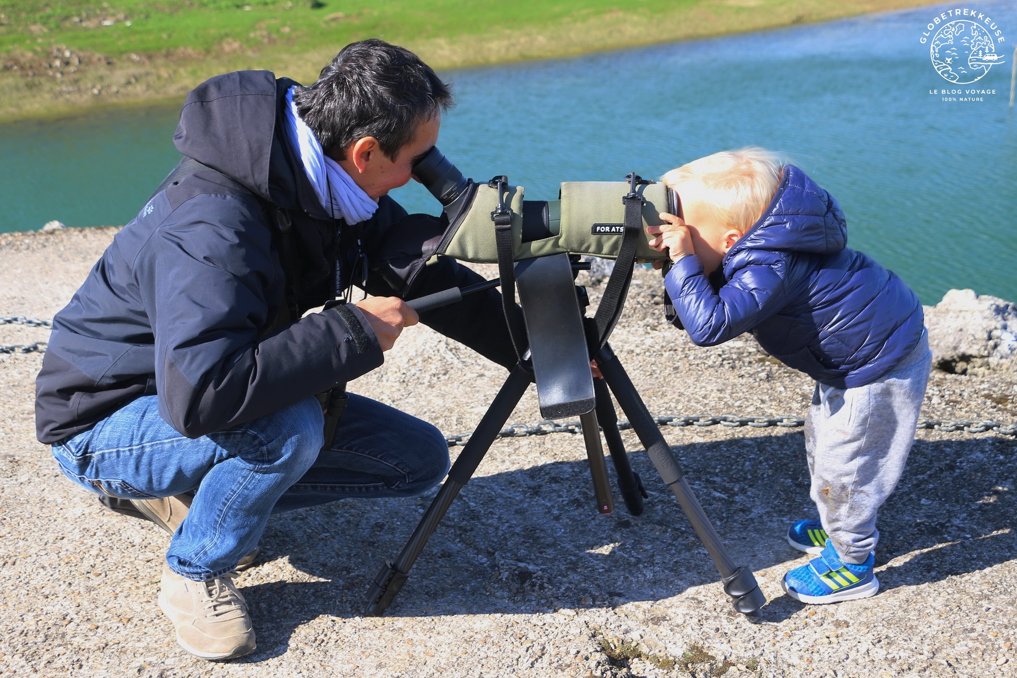 lac du der enfant oiseaux