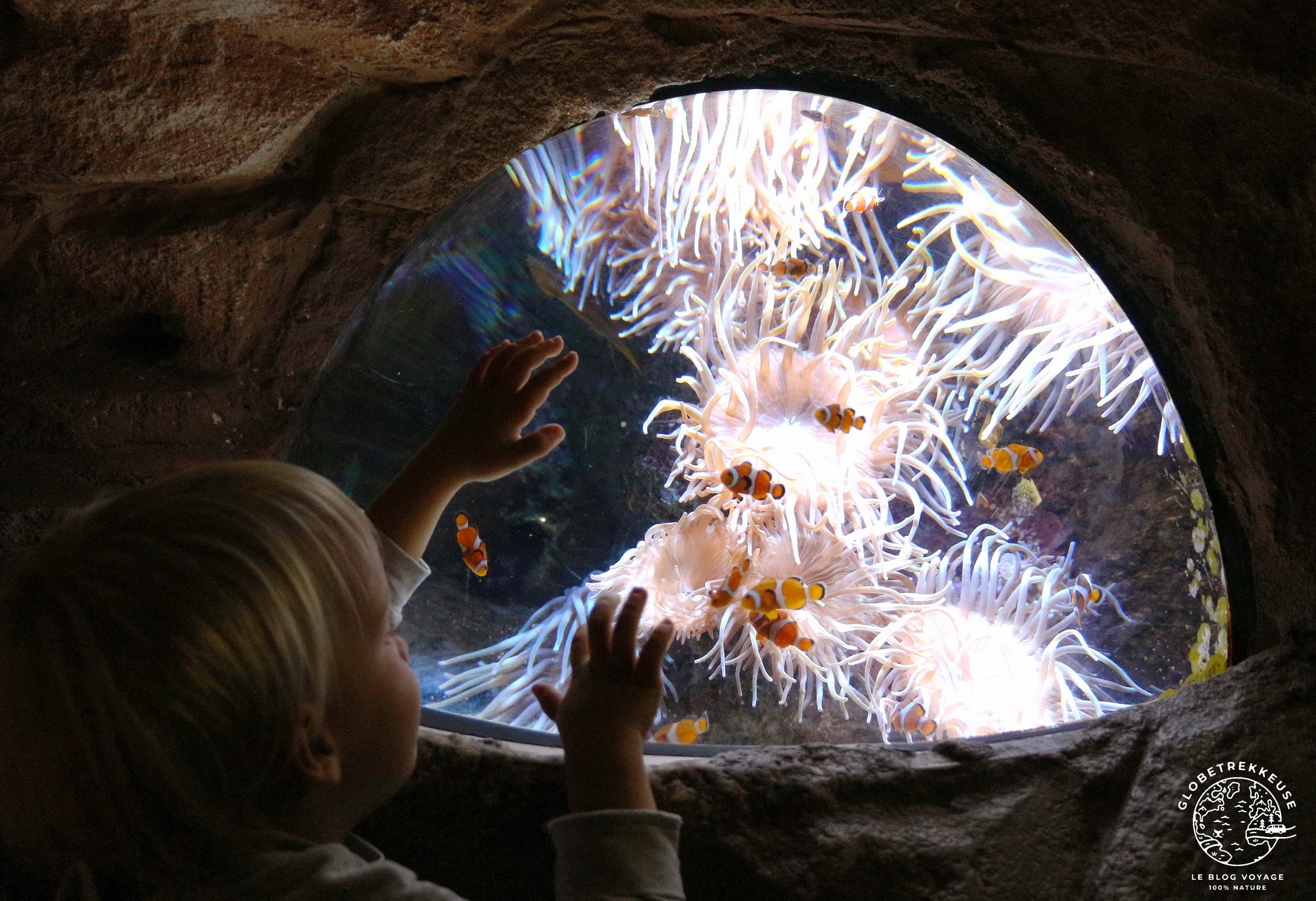 3 jours au pays basque aquarium