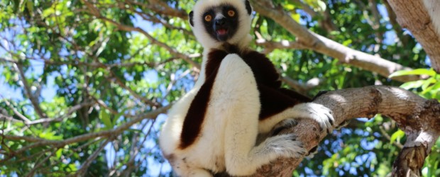 Tourisme responsable à Madagascar, sous le charme de Majunga…