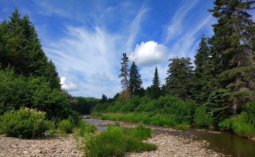 road trip canada parc naturel fundy