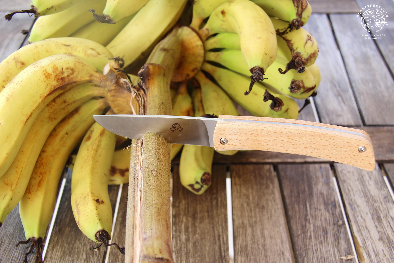couteau acolyte a construire banane
