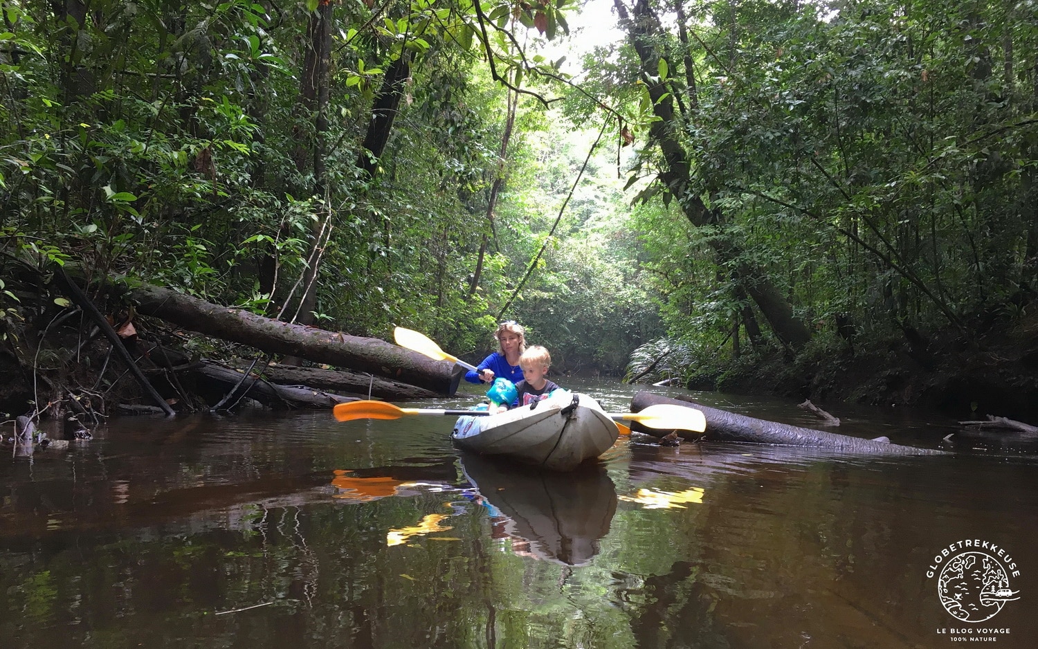 ecotourisme en guyane canoes