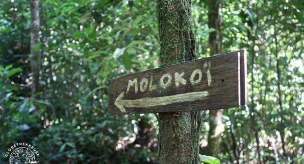 Sentier du Molokoï, le plus long itinéraire de randonnée de Guyane !