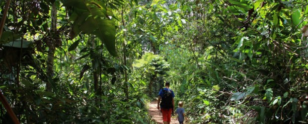 La Guyane en famille, 10 sites à découvrir proche de Cayenne