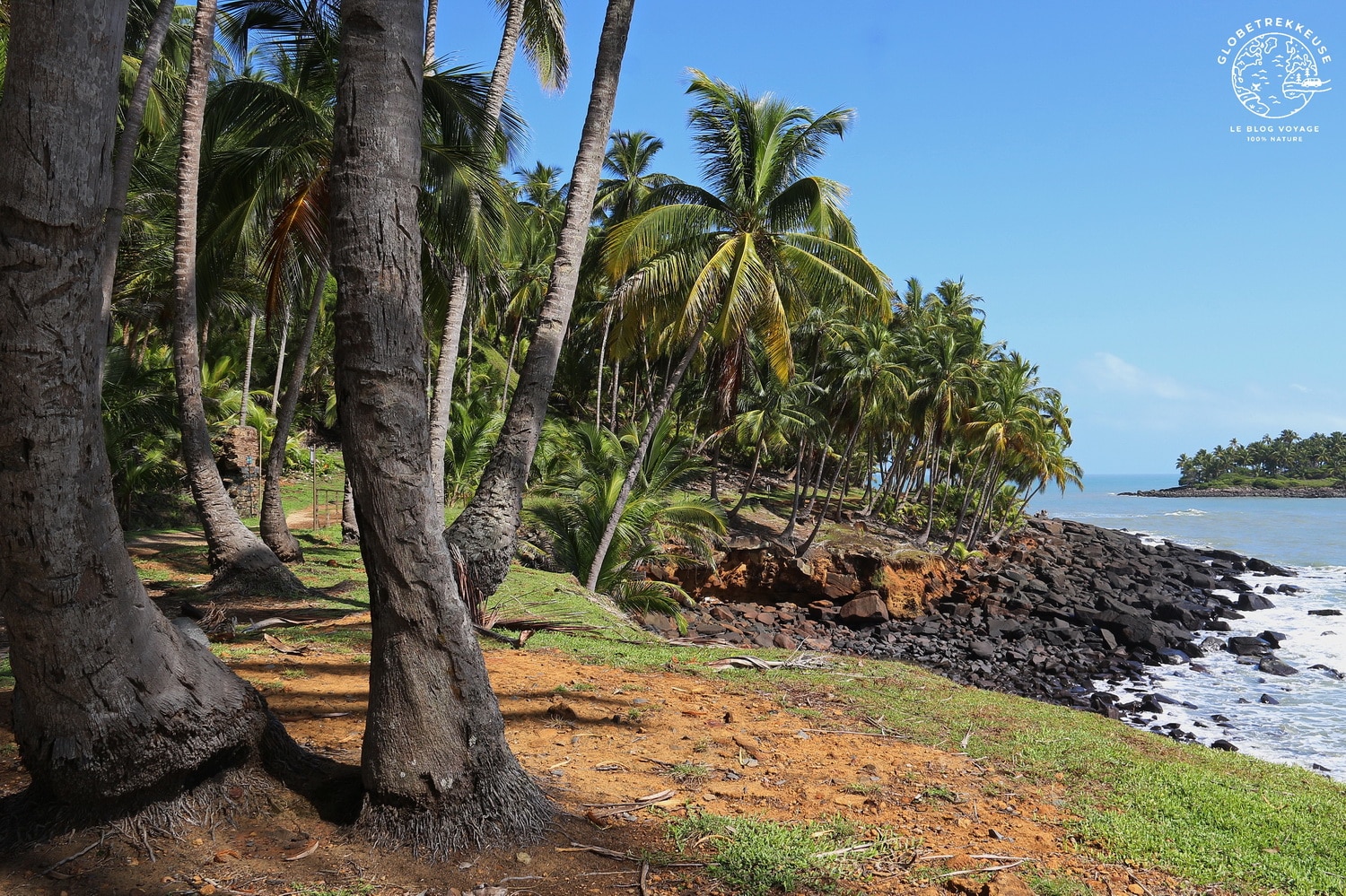 iles du salut guyane sentier